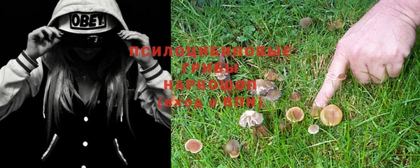 jwh Вязьма