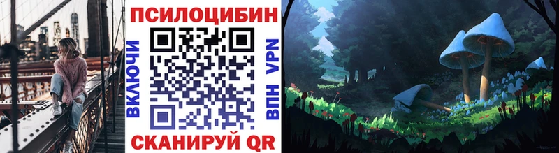 наркошоп  Ханты-Мансийск  Галлюциногенные грибы Cubensis 
